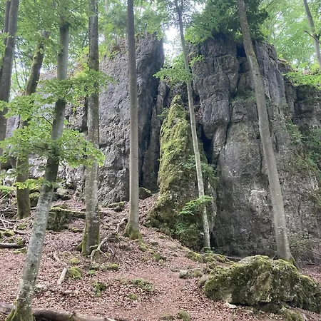 Brunnerhof Urlaub Auf Dem Land アパート Hartenstein