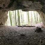 Brunnerhof Urlaub Auf Dem Land Apartment *
