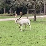 Brunnerhof Urlaub Auf Dem Land *