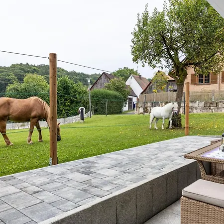 Apartment Brunnerhof Urlaub Auf Dem Land Hartenstein (Bavaria)